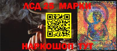 гидра Кандалакша