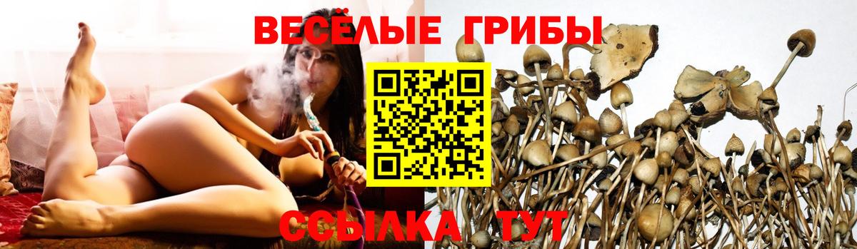 Галлюциногенные грибы GOLDEN TEACHER Лангепас